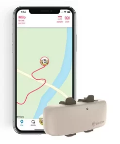 Tractive GPS-Tracker LTE für Katzen 16 Tractive GPS-Tracker LTE für Katzen -Katzenwelt Verkaufsgeschäft 141942534 xxl