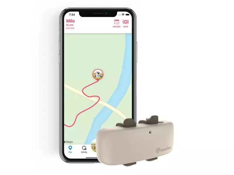 Tractive GPS-Tracker LTE für Katzen 7 Tractive GPS-Tracker LTE für Katzen – Bild 6