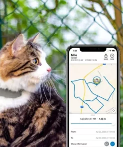 Tractive GPS-Tracker LTE für Katzen 19 Tractive GPS-Tracker LTE für Katzen -Katzenwelt Verkaufsgeschäft 141942577 xxl