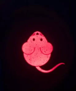 Trixie Katzen-Spielzeug LED Pointer Catch the Light 7 Trixie Katzen-Spielzeug LED Pointer Catch the Light -Katzenwelt Verkaufsgeschäft 183465326 xxl