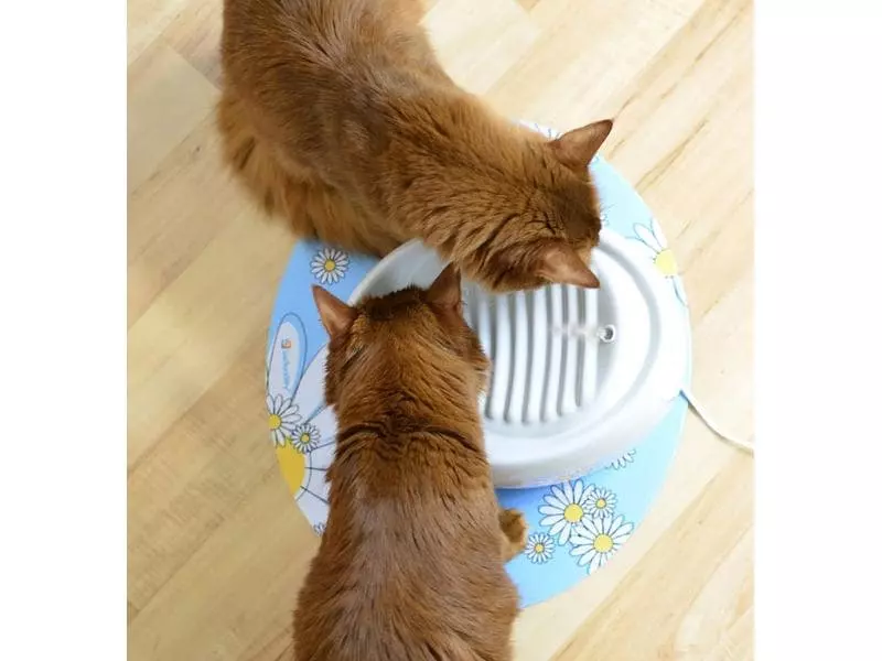 Lucky-Kitty Wasserautomat Keramik, Weiss Weiss 7 Lucky-Kitty Wasserautomat Keramik, Weiss Weiss – Bild 5