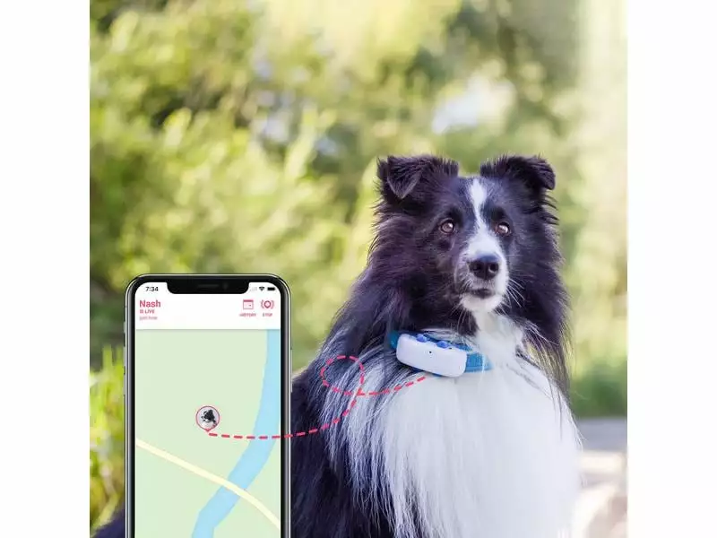 Tractive GPS-Tracker LTE für Hunde, weiss 5 Tractive GPS-Tracker LTE für Hunde, weiss – Bild 3