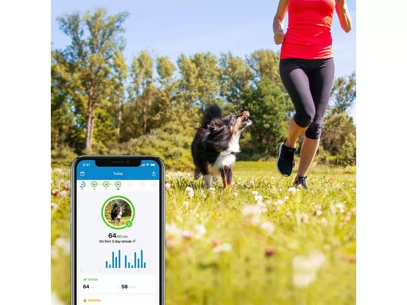 Tractive GPS-Tracker LTE für Hunde, weiss 6 Tractive GPS-Tracker LTE für Hunde, weiss – Bild 4
