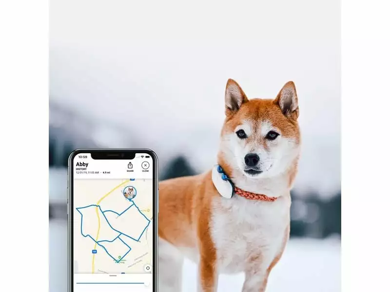 Tractive GPS-Tracker LTE für Hunde, weiss 7 Tractive GPS-Tracker LTE für Hunde, weiss – Bild 5