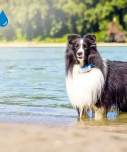 Tractive GPS-Tracker LTE für Hunde, weiss 22 Tractive GPS-Tracker LTE für Hunde, weiss -Katzenwelt Verkaufsgeschäft 189361550 xxl