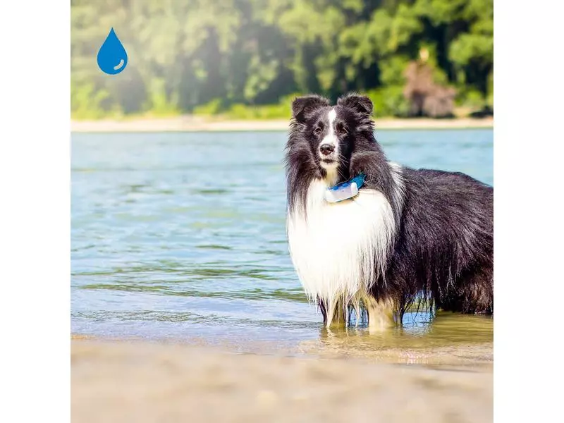 Tractive GPS-Tracker LTE für Hunde, weiss 10 Tractive GPS-Tracker LTE für Hunde, weiss – Bild 8