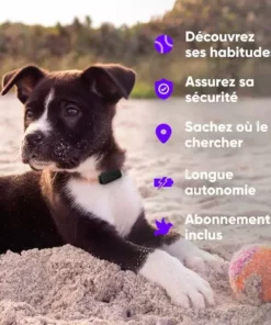 Invoxia Pet GPS-Tracker für Katzen und Hunde 27 Invoxia Pet GPS-Tracker für Katzen und Hunde -Katzenwelt Verkaufsgeschäft 190385795 xxl