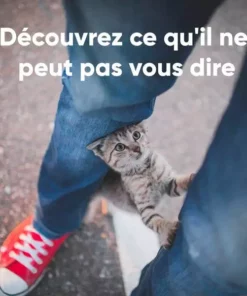 Invoxia Pet GPS-Tracker für Katzen und Hunde 28 Invoxia Pet GPS-Tracker für Katzen und Hunde -Katzenwelt Verkaufsgeschäft 190385802 xxl