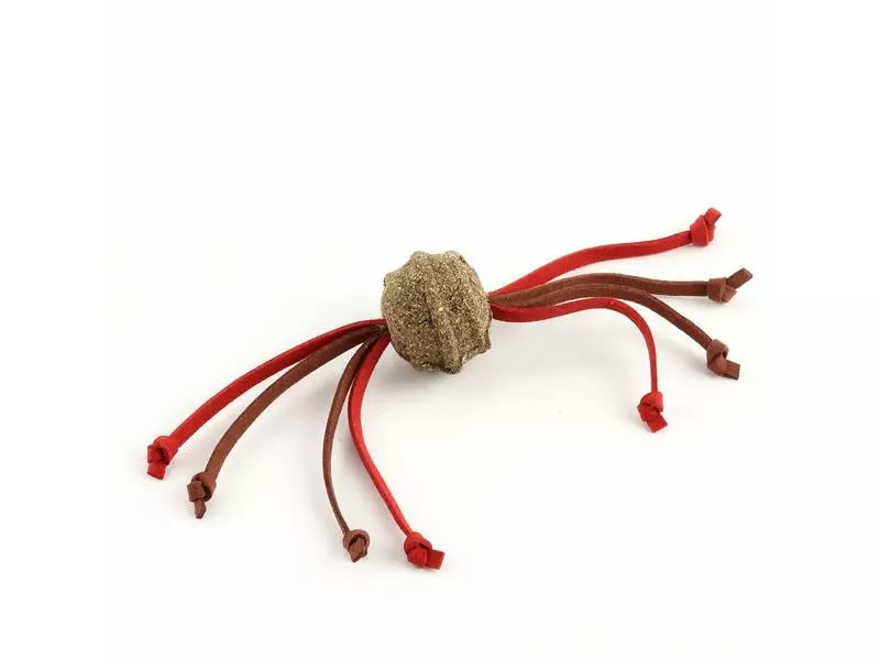 Anijoy Katzen-Spielzeug Catnip Ball 10 cm 3 Anijoy Katzen-Spielzeug Catnip Ball 10 cm