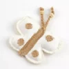 Anijoy Katzen-Spielzeug Butterfly 13 cm 1 Anijoy Katzen-Spielzeug Butterfly 13 cm -Katzenwelt Verkaufsgeschäft 195986470 xxl