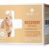 RECOACTIV Katzen-Nahrungsergänzung Recovery Renal, 3 x 90 ml 1 RECOACTIV Katzen-Nahrungsergänzung Recovery Renal, 3 x 90 ml -Katzenwelt Verkaufsgeschäft 199638358 xxl
