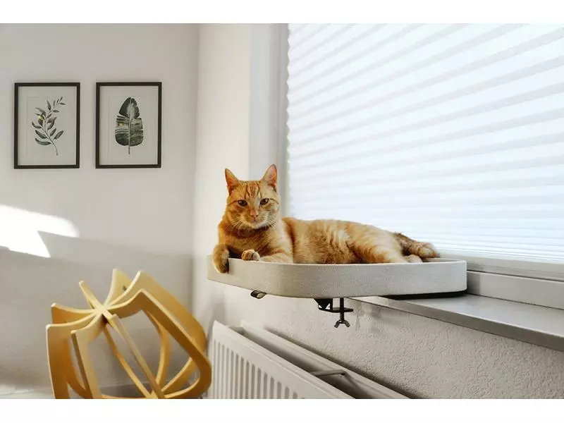 Ebi Fensterbett KYO, 50 x 40 cm 5 Ebi Fensterbett KYO, 50 x 40 cm – Bild 3