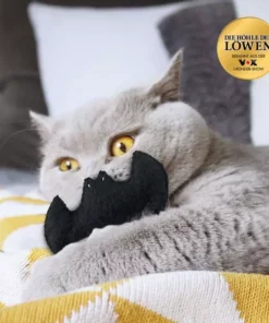 Catlabs Katzen-Spielzeug Flauschige Fledermaus mit Baldrianwurzel 19 Catlabs Katzen-Spielzeug Flauschige Fledermaus mit Baldrianwurzel -Katzenwelt Verkaufsgeschäft 211938459 xxl