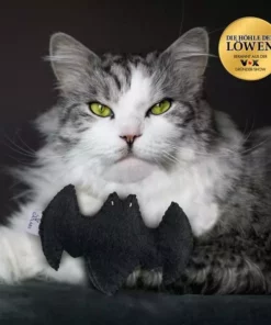 Catlabs Katzen-Spielzeug Flauschige Fledermaus mit Baldrianwurzel 21 Catlabs Katzen-Spielzeug Flauschige Fledermaus mit Baldrianwurzel -Katzenwelt Verkaufsgeschäft 211938463 xxl