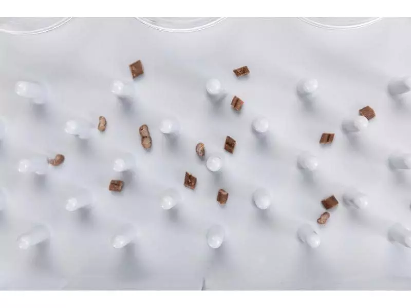 Trixie Katzen-Strategiespiel Fun Board 6 Trixie Katzen-Strategiespiel Fun Board – Bild 4