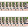 Bozita Nassfutter Häppchen in Sauce mit Lachs, 16 x 370 g -Katzenwelt Verkaufsgeschäft 215700167 xxl