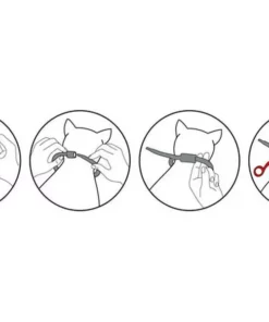 IN-FLUENCE Anti-Parasit-Halsband für Katzen, 35 cm -Katzenwelt Verkaufsgeschäft 216557999 xxl