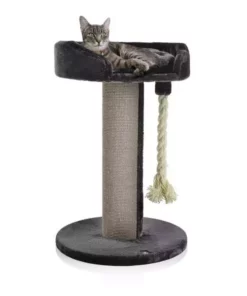 CanadianCat Kratzbaum Lounge Ontario 1, Grau