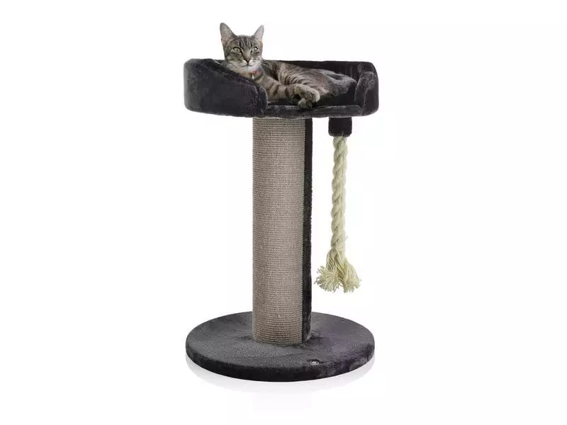 CanadianCat Kratzbaum Lounge Ontario 1, Grau 3 CanadianCat Kratzbaum Lounge Ontario 1, Grau