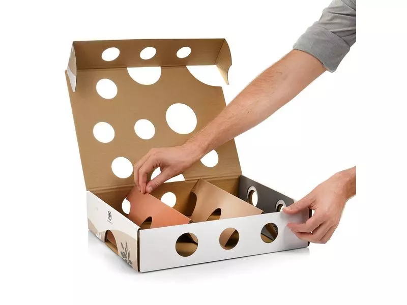 CanadianCat Katzen-Strategiespiel MagicBox, Braun-Weiss 5 CanadianCat Katzen-Strategiespiel MagicBox, Braun-Weiss – Bild 3