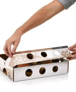 CanadianCat Katzen-Strategiespiel MagicBox, Braun-Weiss 14 CanadianCat Katzen-Strategiespiel MagicBox, Braun-Weiss -Katzenwelt Verkaufsgeschäft 217234501 xxl