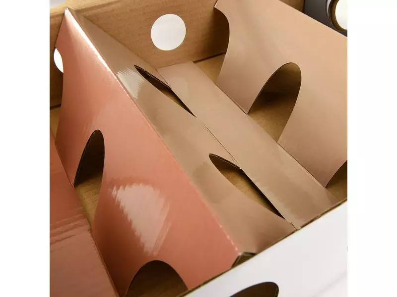 CanadianCat Katzen-Strategiespiel MagicBox, Braun-Weiss 9 CanadianCat Katzen-Strategiespiel MagicBox, Braun-Weiss – Bild 7