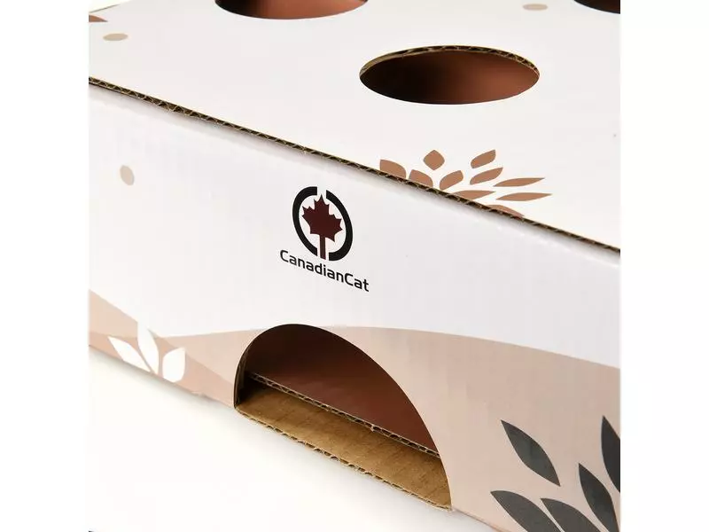 CanadianCat Katzen-Strategiespiel MagicBox, Braun-Weiss 10 CanadianCat Katzen-Strategiespiel MagicBox, Braun-Weiss – Bild 8