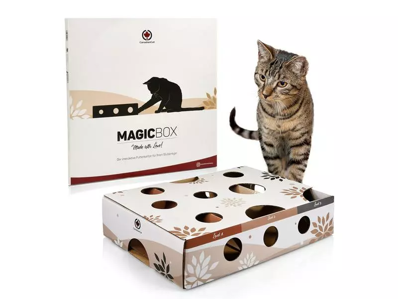 CanadianCat Katzen-Strategiespiel MagicBox, Braun-Weiss 11 CanadianCat Katzen-Strategiespiel MagicBox, Braun-Weiss – Bild 9