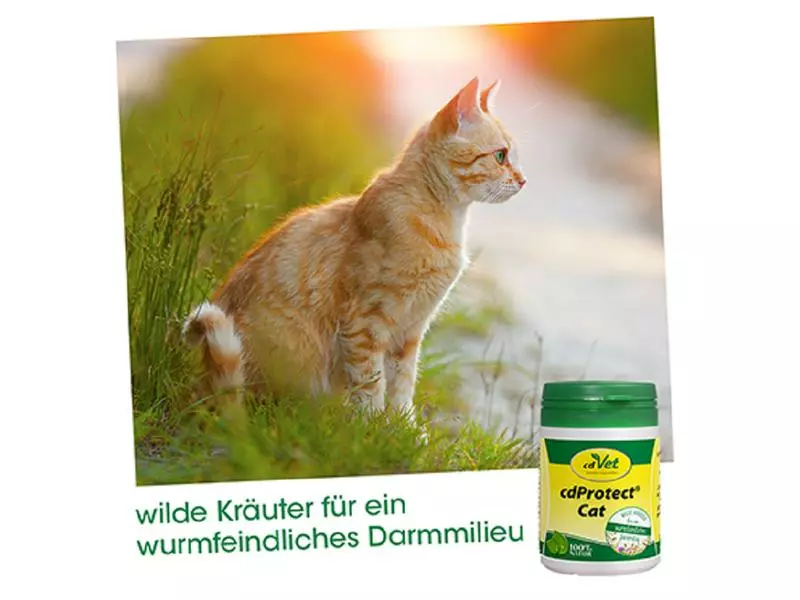 CdVet Katzen-Nahrungsergänzung cdProtect Cat, 25 g 4 CdVet Katzen-Nahrungsergänzung cdProtect Cat, 25 g – Bild 2