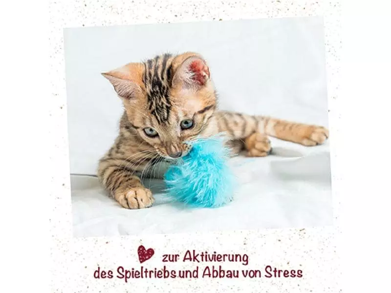 CdVet feliTATZ KatzenMinze Spray, 50 ml 4 CdVet feliTATZ KatzenMinze Spray, 50 ml – Bild 2