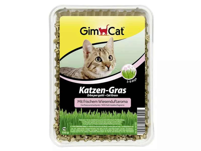 Gimpet Katzen-Nahrungsergänzung Katzengras mit Wiesenduft, 150 g 3 Gimpet Katzen-Nahrungsergänzung Katzengras mit Wiesenduft, 150 g