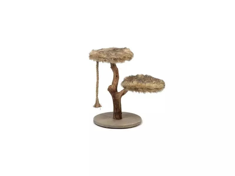 Designed by Lotte Kratzbaum Aviva, Braun 3 Designed by Lotte Kratzbaum Aviva, Braun