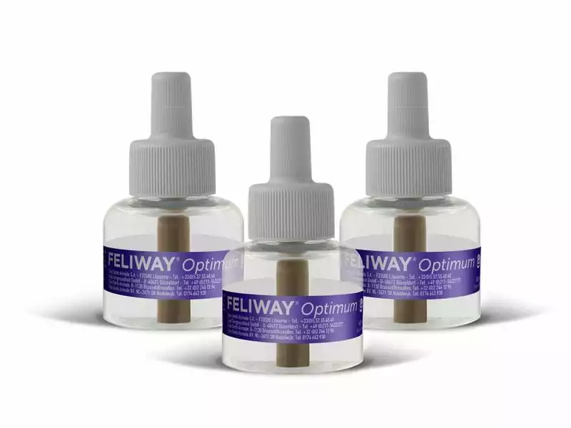 Feliway Wohlbefinden Optimum Nachfüllflakon, 3 x 48 ml 5 Feliway Wohlbefinden Optimum Nachfüllflakon, 3 x 48 ml – Bild 3
