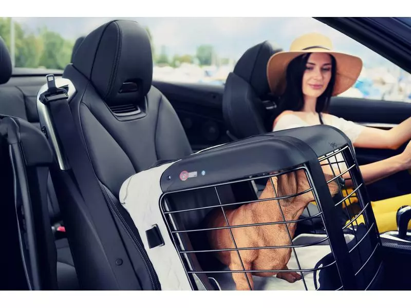 4pets Transportbox Caree Black Series 5 4pets Transportbox Caree Black Series – Bild 3