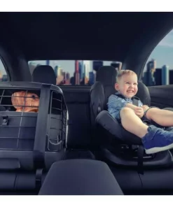 Katzenwelt Verkaufsgeschäft -Katzenwelt Verkaufsgeschäft 220239728 xxl 1