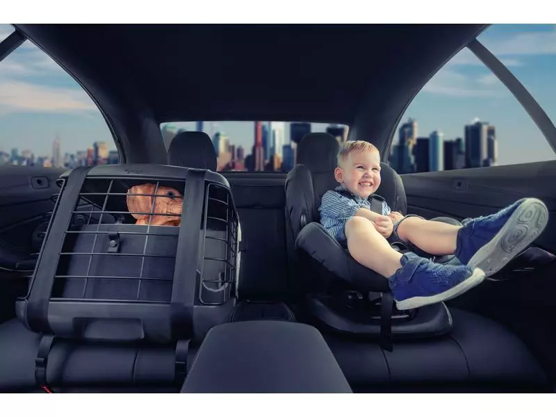 4pets Transportbox Caree Smoked Pearl 4 4pets Transportbox Caree Smoked Pearl – Bild 2