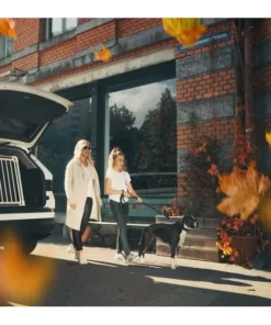 4pets Transportbox ECO 2 Medium -Katzenwelt Verkaufsgeschäft 220244102 xxl