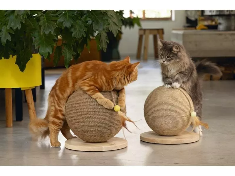 Designed by Lotte Kratzmöbel Balty, Braun 7 Designed by Lotte Kratzmöbel Balty, Braun – Bild 5