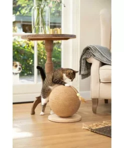 Designed by Lotte Kratzmöbel Balty, Braun 13 Designed by Lotte Kratzmöbel Balty, Braun -Katzenwelt Verkaufsgeschäft 221057803 xxl