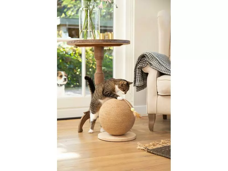 Designed by Lotte Kratzmöbel Balty, Braun 8 Designed by Lotte Kratzmöbel Balty, Braun – Bild 6