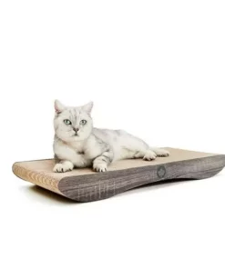 CanadianCat Kratzbrett Comet XL -Katzenwelt Verkaufsgeschäft 222623146 xxl