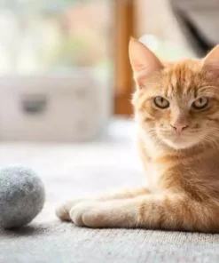 CanadianCat Katzen-Spielzeug Filzball mit Dufttasche -Katzenwelt Verkaufsgeschäft 222623254 xxl