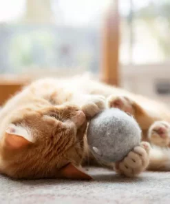 CanadianCat Katzen-Spielzeug Filzball mit Dufttasche -Katzenwelt Verkaufsgeschäft 222623256 xxl