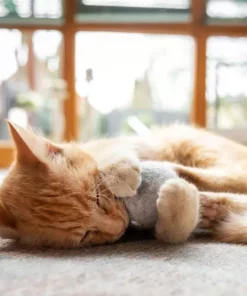 CanadianCat Katzen-Spielzeug Filzball mit Dufttasche -Katzenwelt Verkaufsgeschäft 222623261 xxl