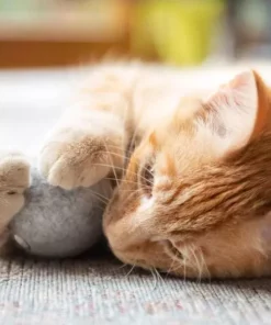 CanadianCat Katzen-Spielzeug Filzball mit Dufttasche -Katzenwelt Verkaufsgeschäft 222623263 xxl