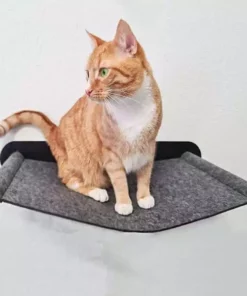 CanadianCat Katzenbett Filz-Hängematte mit Wandmontage Anthrazit 14 CanadianCat Katzenbett Filz-Hängematte mit Wandmontage Anthrazit -Katzenwelt Verkaufsgeschäft 222623336 xxl