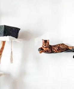 CanadianCat Katzenbett Filz-Hängematte mit Wandmontage Anthrazit 15 CanadianCat Katzenbett Filz-Hängematte mit Wandmontage Anthrazit -Katzenwelt Verkaufsgeschäft 222623338 xxl
