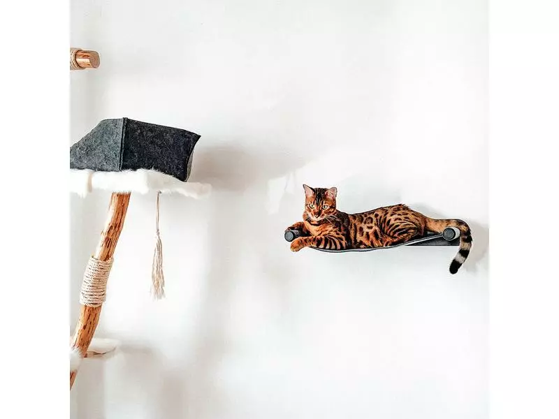 CanadianCat Katzenbett Filz-Hängematte mit Wandmontage Anthrazit 6 CanadianCat Katzenbett Filz-Hängematte mit Wandmontage Anthrazit – Bild 4