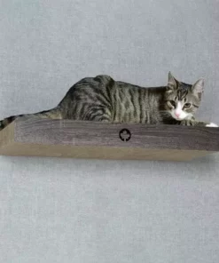 CanadianCat Kratzbrett Cloud