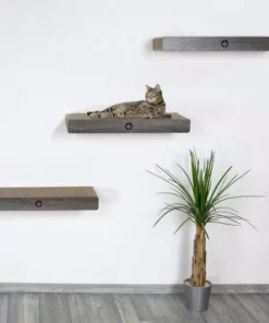 CanadianCat Kratzbrett Cloud -Katzenwelt Verkaufsgeschäft 222623621 xxl